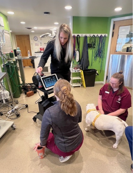 Technician with laser therapy machine