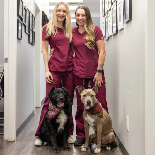 Two female staff members dressed in matching pink scrubs with one brown and one black dog sitting in front of them