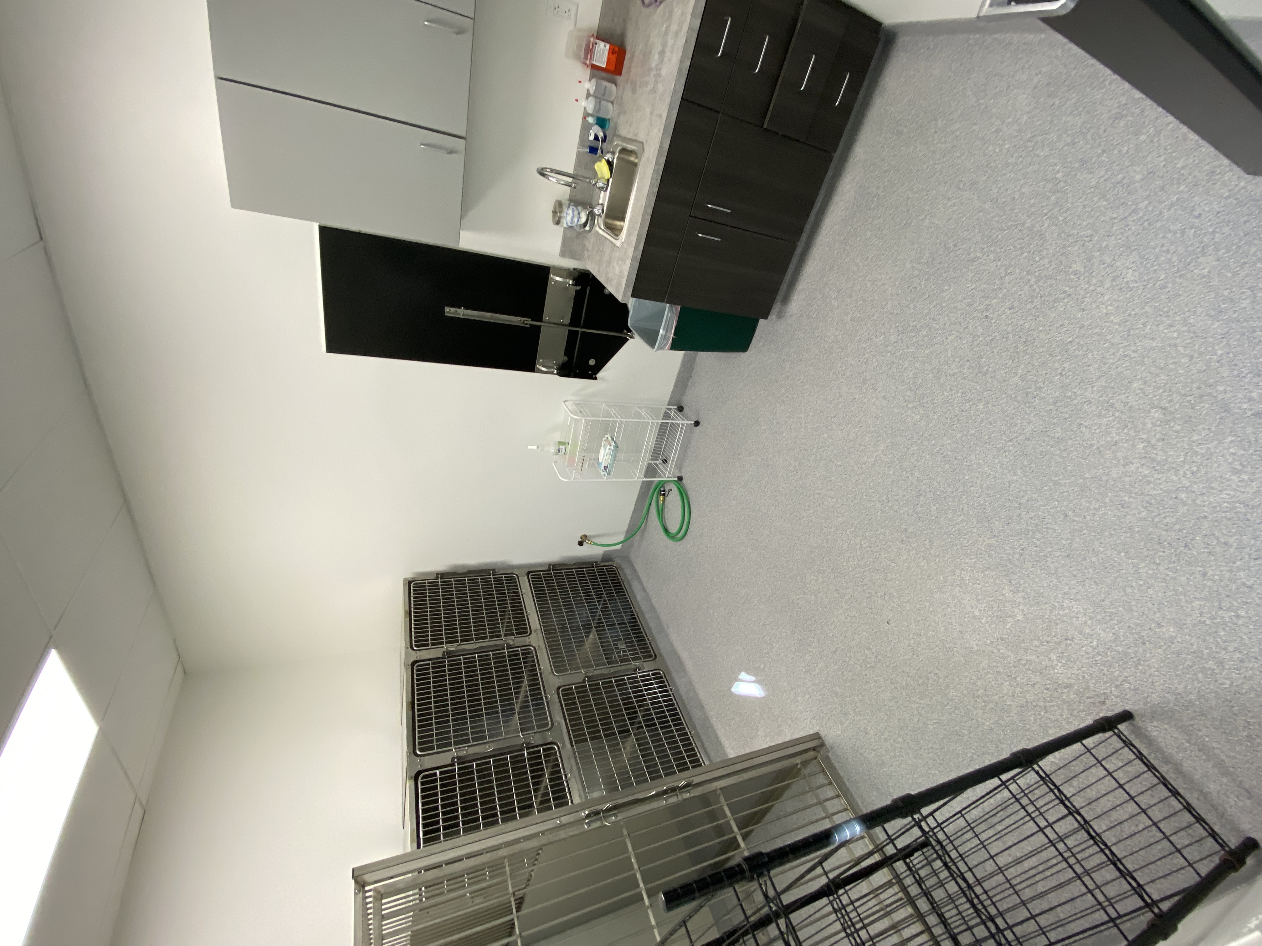 Animal Medical Center of Moss Bluff 1128 Kennel 2