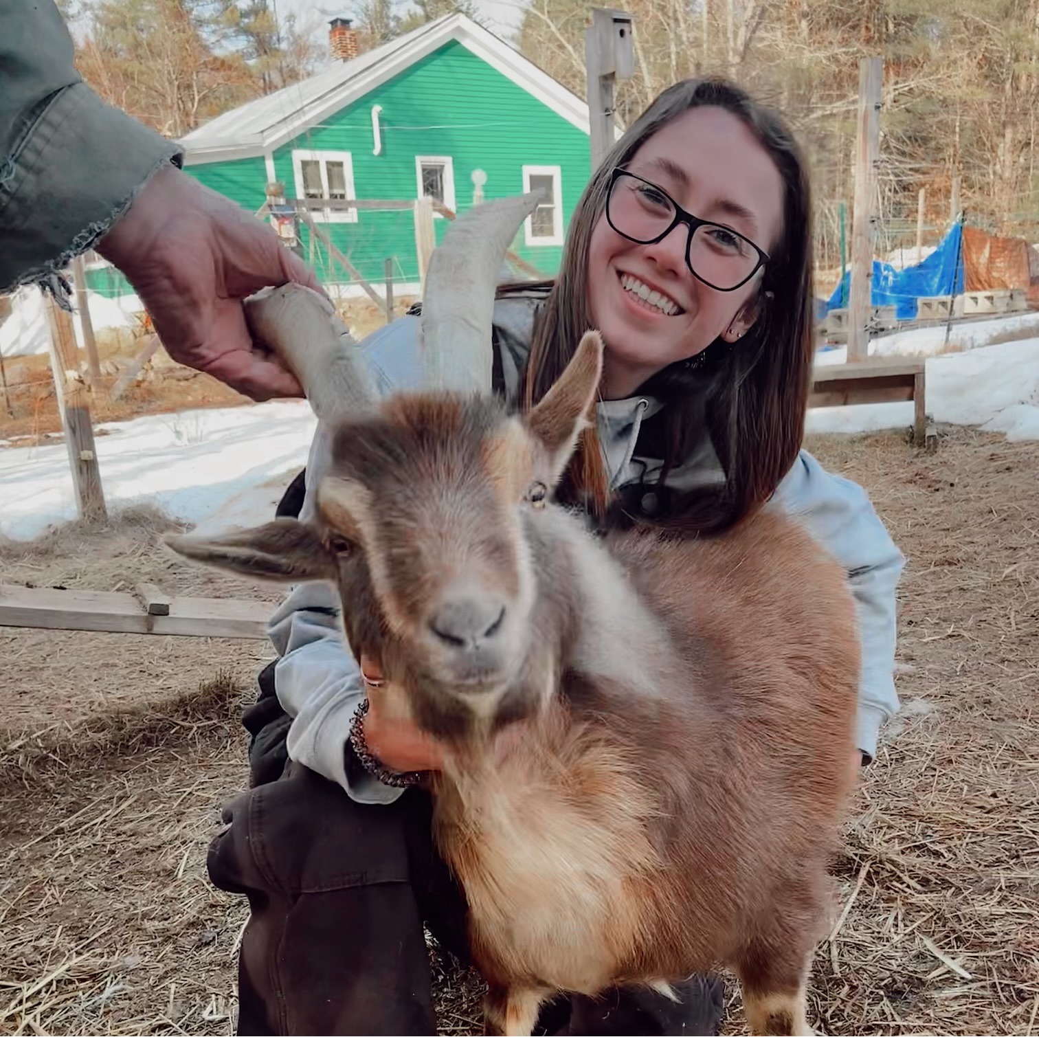 Kylie Henniker Veterinary Hospital