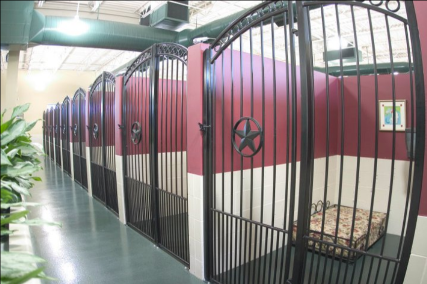 An Interior Hallway at Elite Suites Pet Resort 