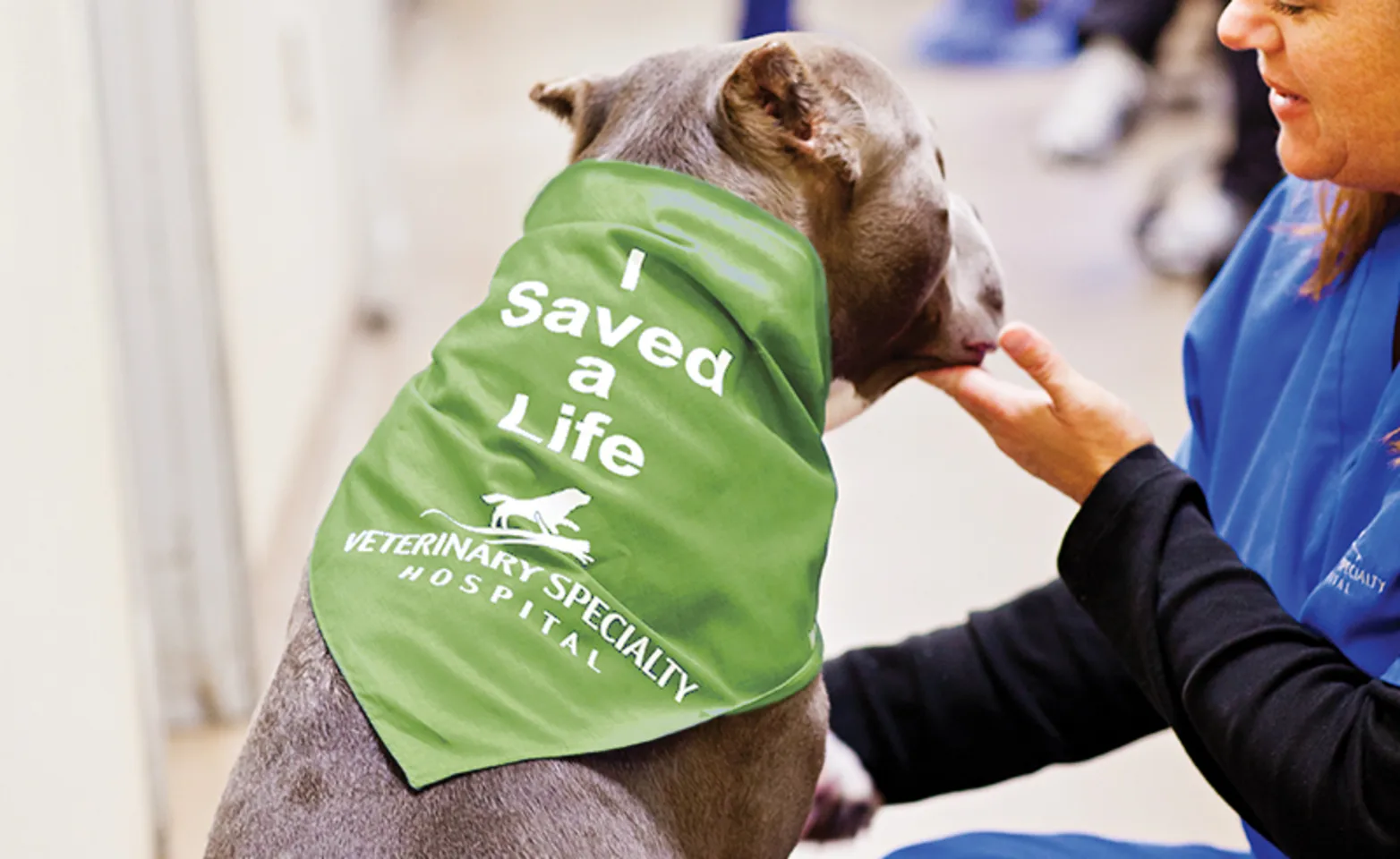Dog wearing a bandana that says "I saved a life" Dog wearing a bandana that says "I saved a life"