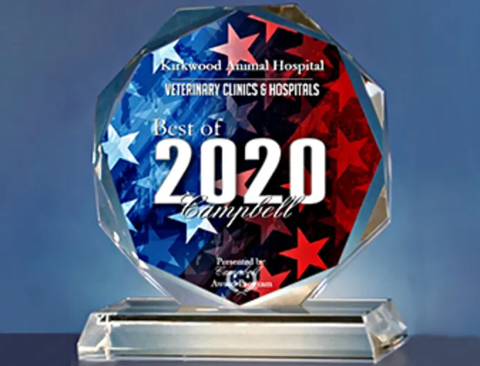 2020 Best of Campbell Award 2020 Best of Campbell Award