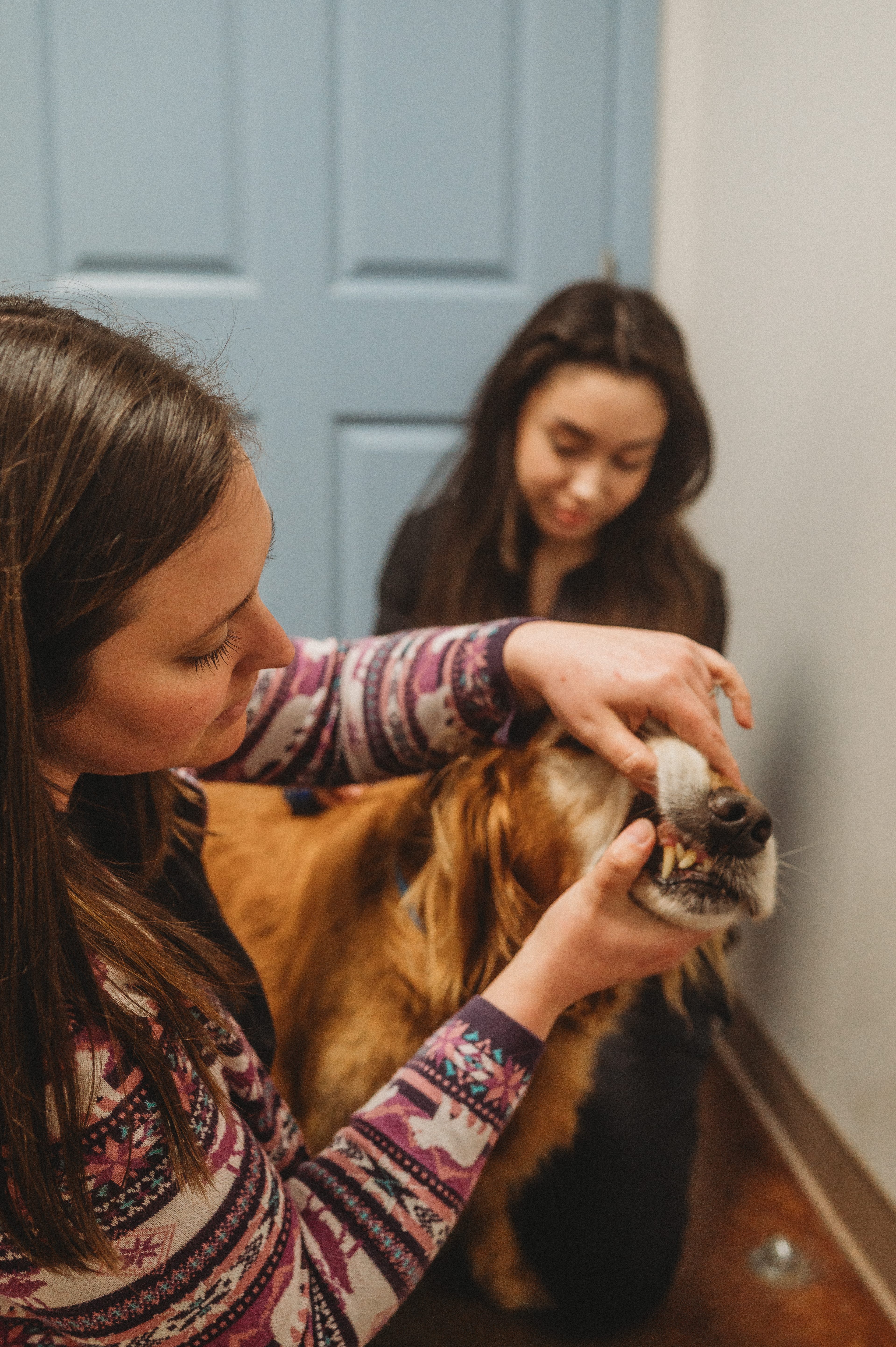 A technician using dental equipment