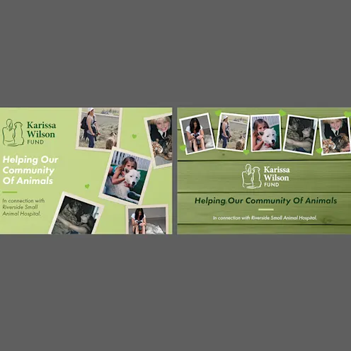 Karissa Wilson Fund, Helping Our Community Of Animals Karissa Wilson Fund, Helping Our Community Of Animals