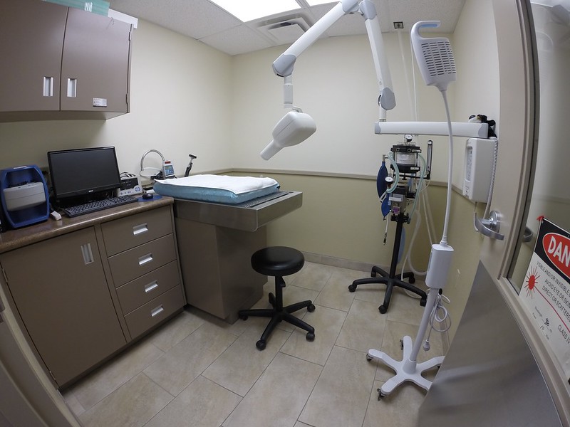 Exam Room at Huntsville Animal Hospital