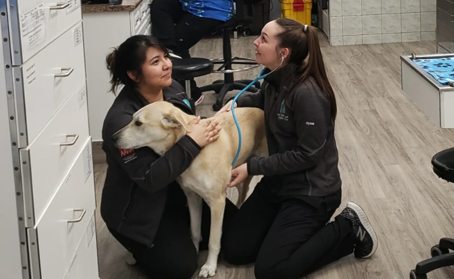 South Saskatchewan Animal Hospital employees helping a dog