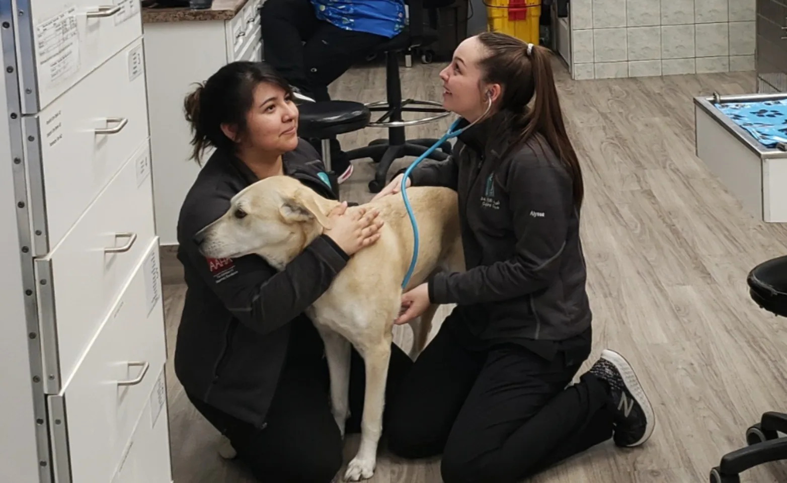 South Saskatchewan Animal Hospital employees helping a dog South Saskatchewan Animal Hospital employees helping a dog