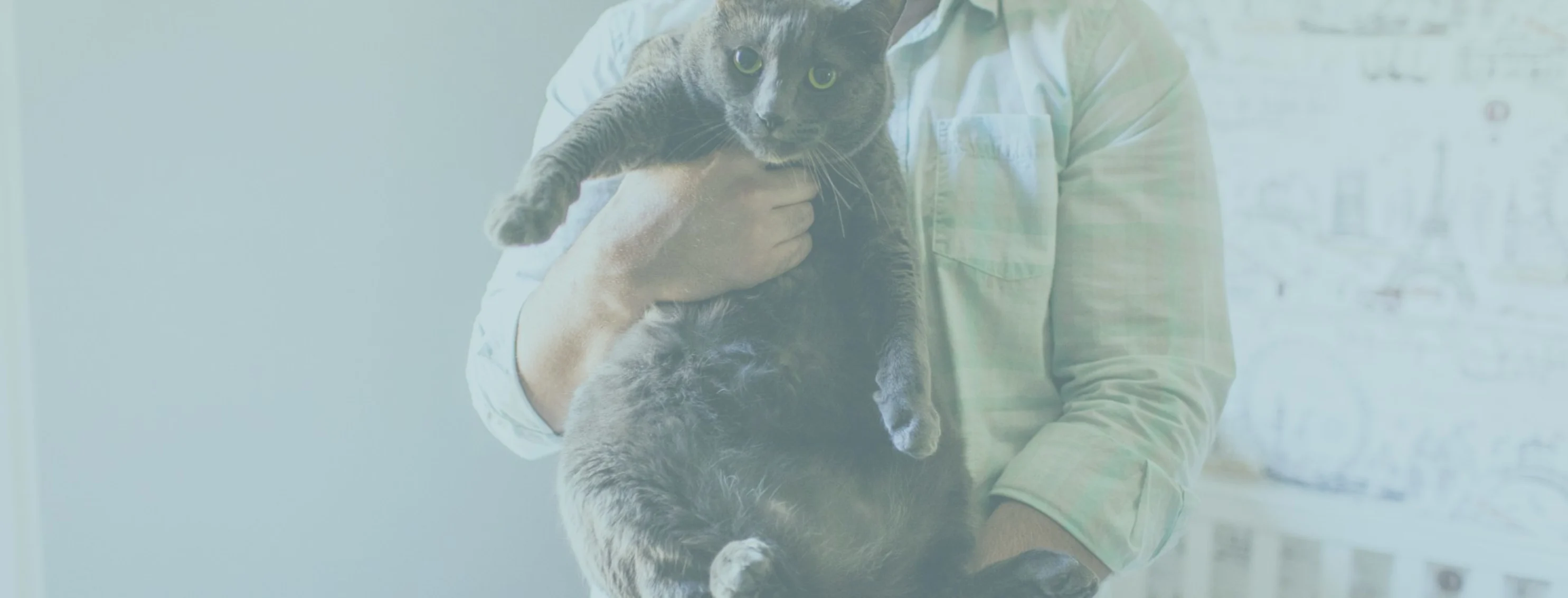 Man holding a cat Man holding a cat
