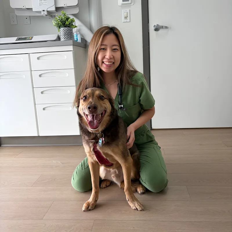 Dr. Jodie Pho Dr. Jodie Pho