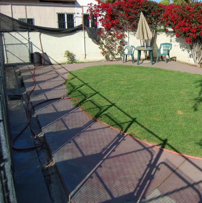 White's Pet Hospital Yard