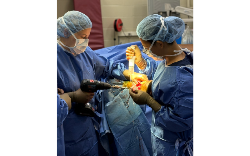 Surgeon Operating