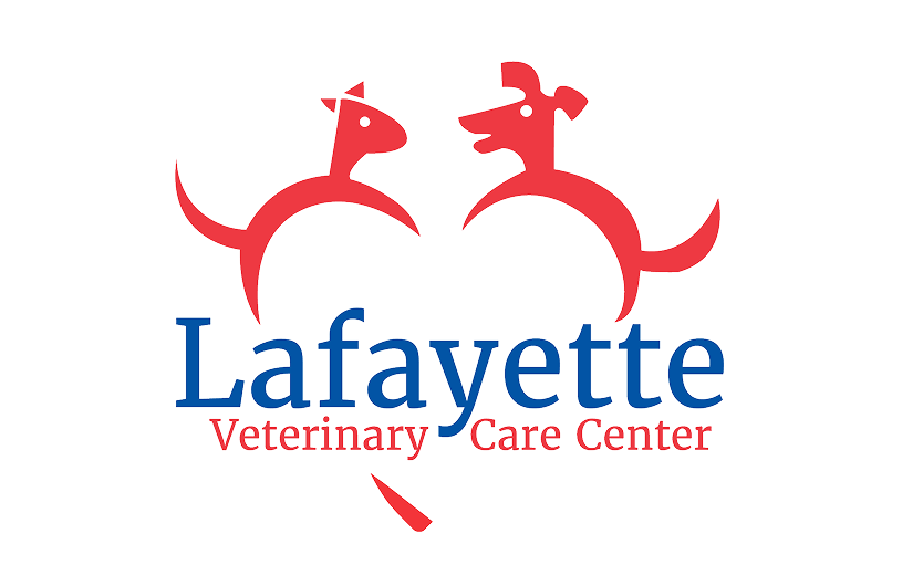 LVCC logo