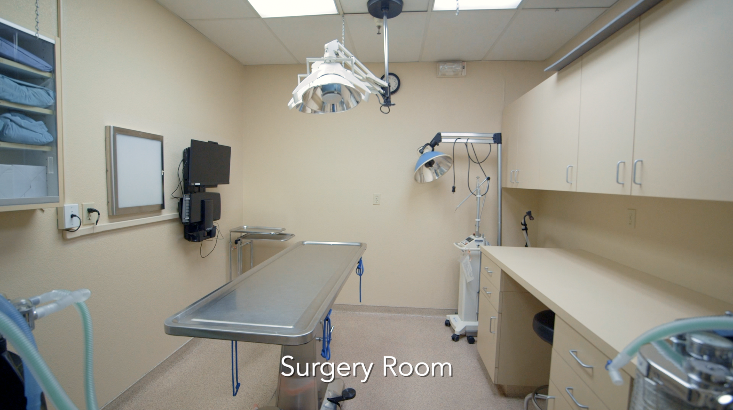 Mt. Diablo Veterinary Medical Center Surgery room