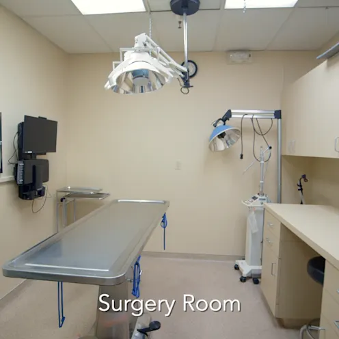 Mt. Diablo Veterinary Medical Center Surgery room Mt. Diablo Veterinary Medical Center Surgery room