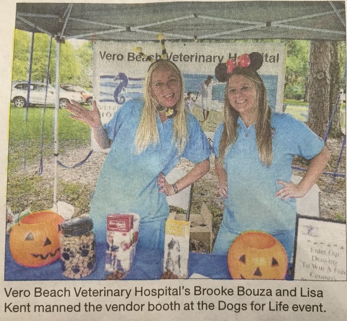 Dogs for life event photo