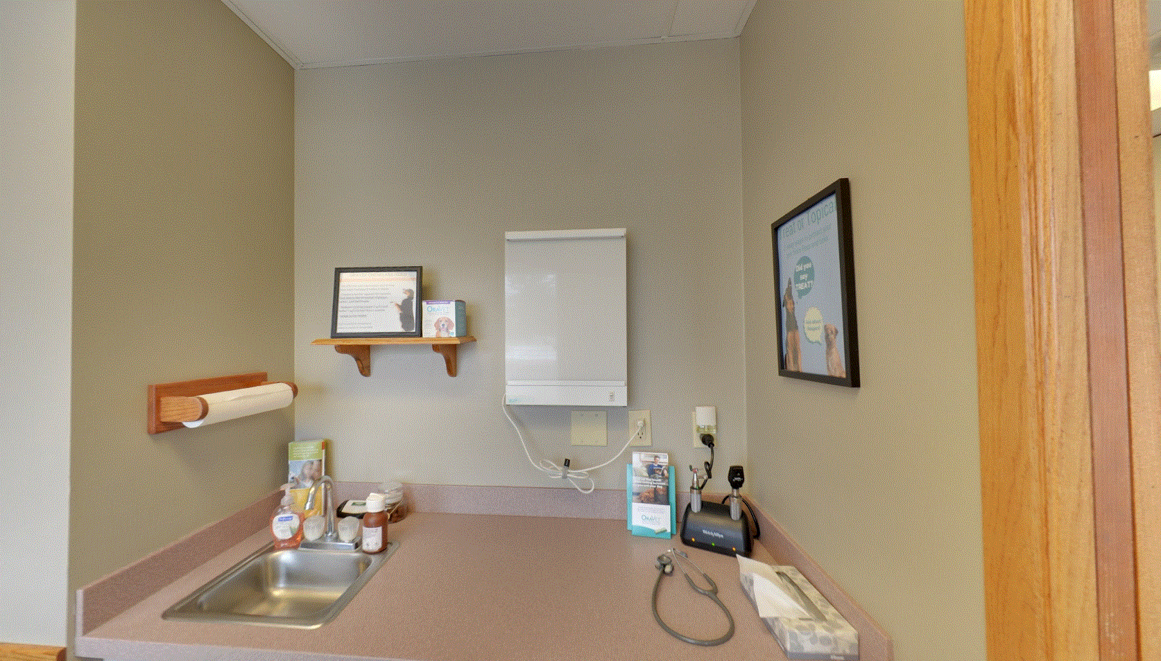 Peotone Animal Hospital  - Checkup Area which consists of a small sink, stethoscope, medical supply, hand soap, and paper towel