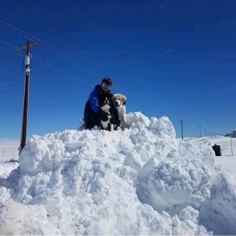 Tristan Bannasch Tristan Bannasch