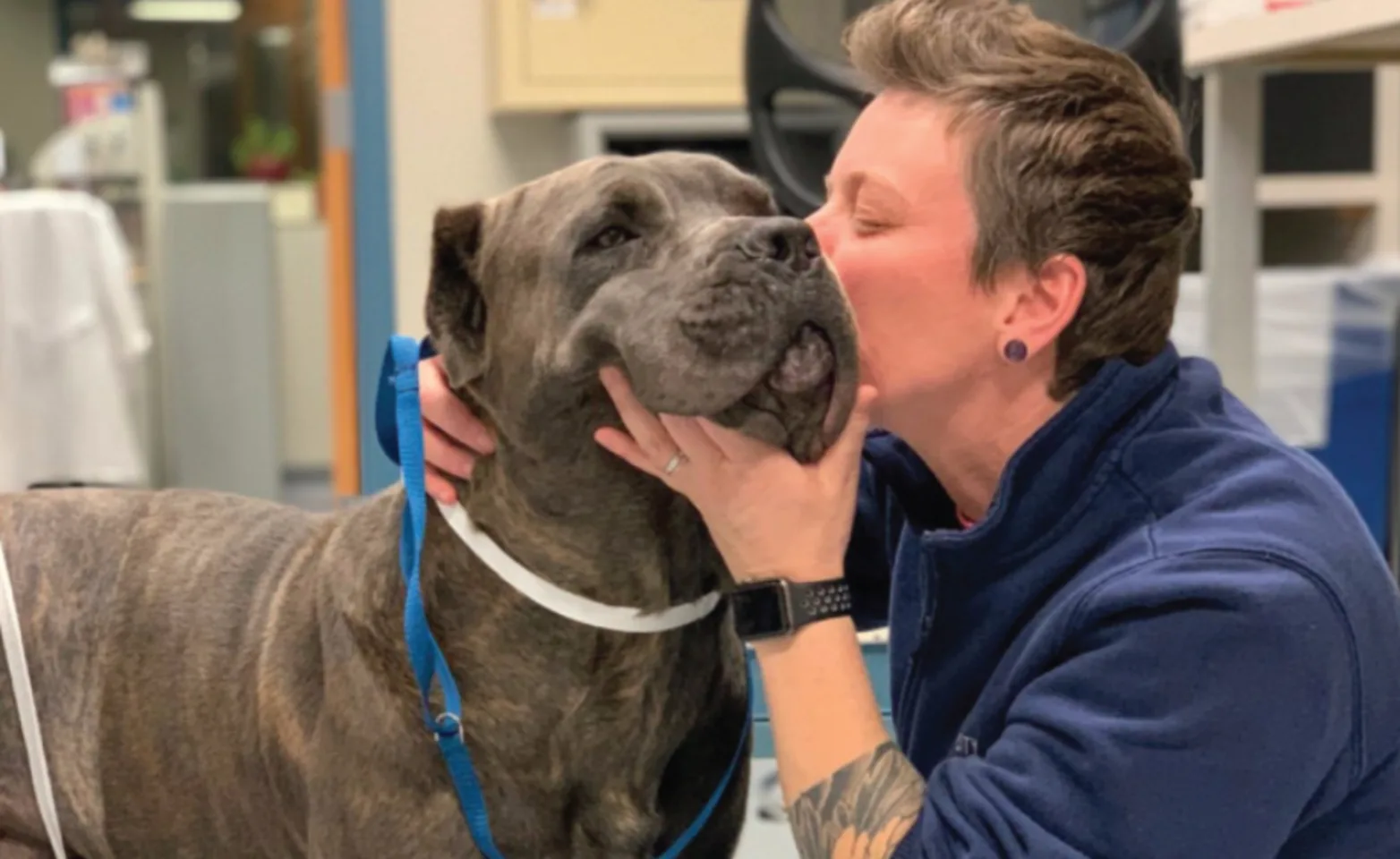 Technician Kissing a Dog Technician Kissing a Dog