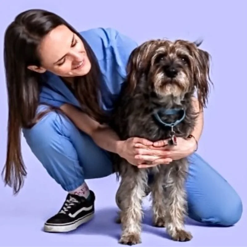 Sarah Runfola, LVT Sarah Runfola, LVT