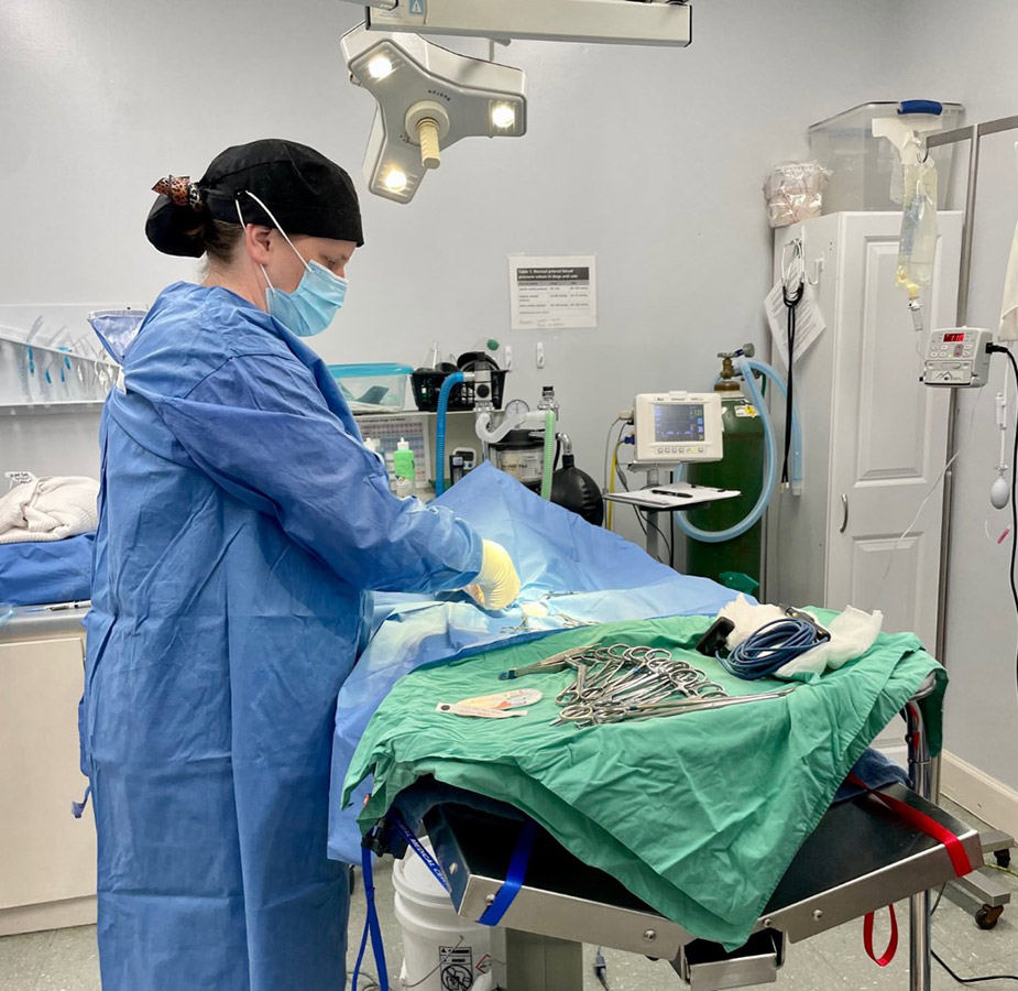 Animal Medical Center (Tuscaloosa) Surgery