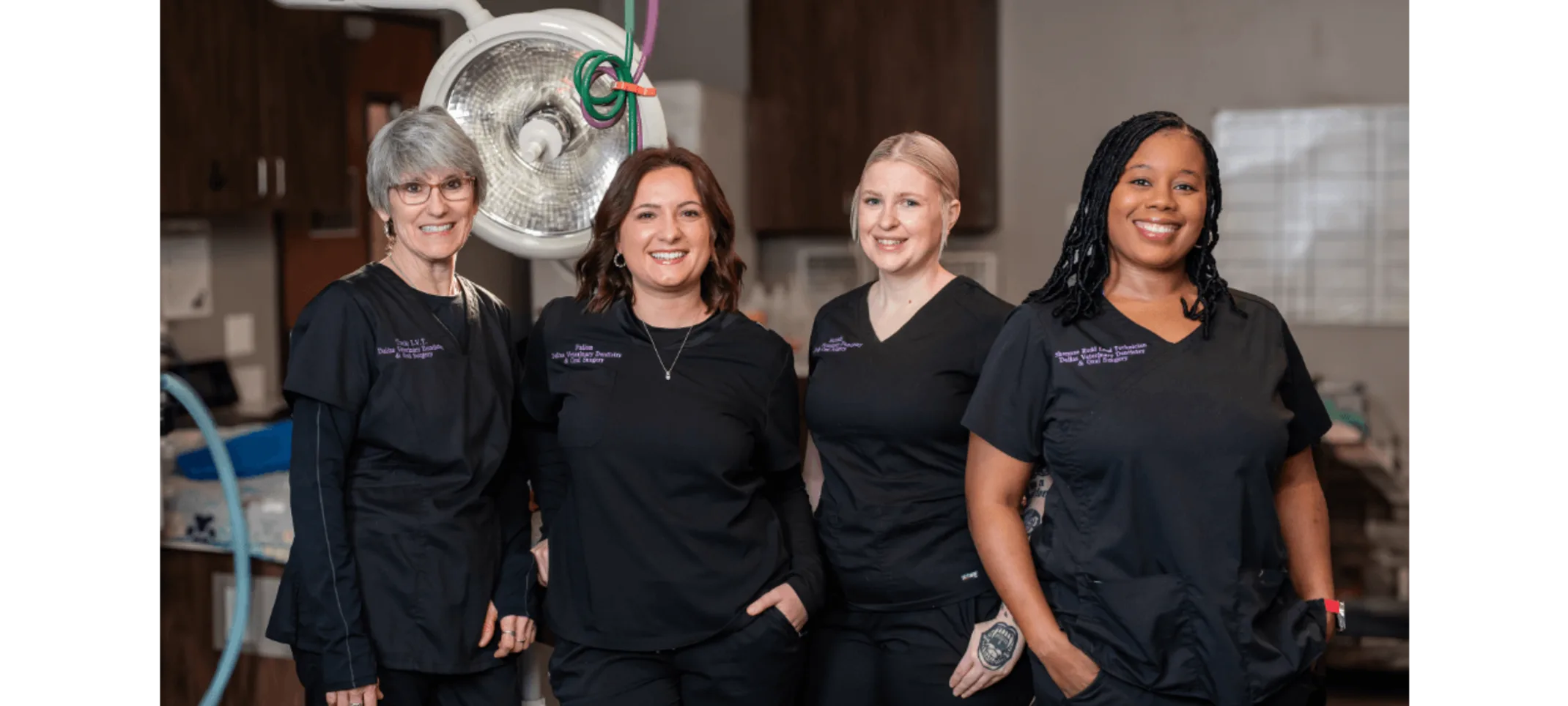 Dallas Veterinary Dentistry & Oral Surgery Support Team Dallas Veterinary Dentistry & Oral Surgery Support Team