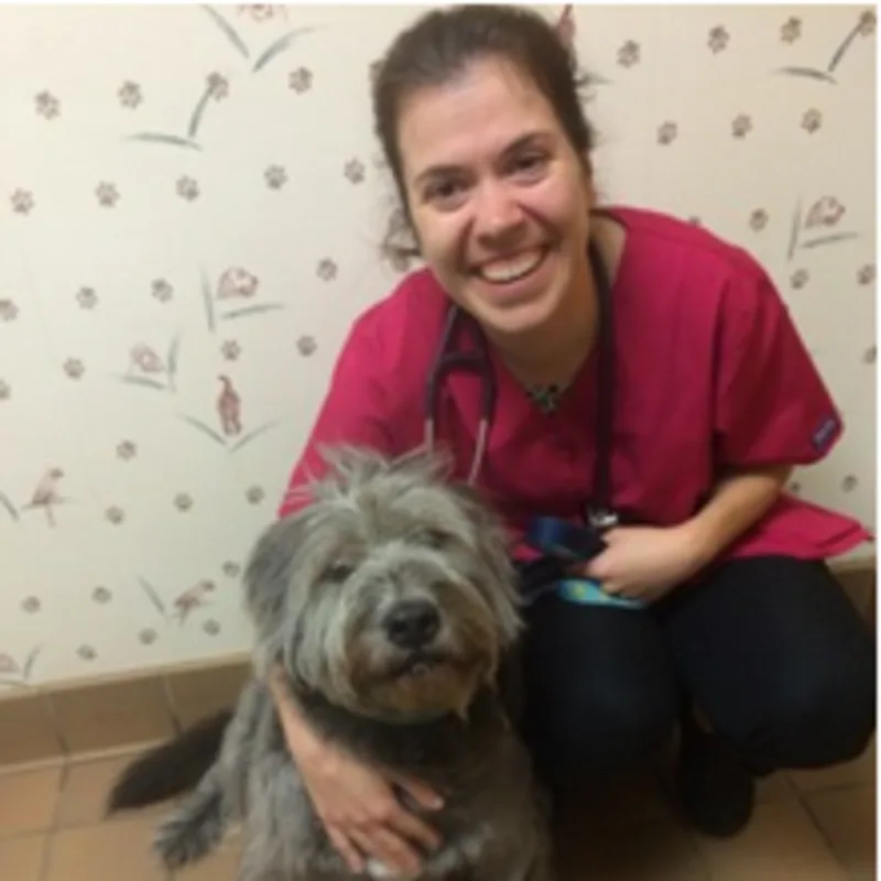 Dr. Kelly Tierney's staff photo from Shinnecock Animal Hospital where she is posing with a little shaggy grey dog in their office. Dr. Kelly Tierney's staff photo from Shinnecock Animal Hospital where she is posing with a little shaggy grey dog in their office.