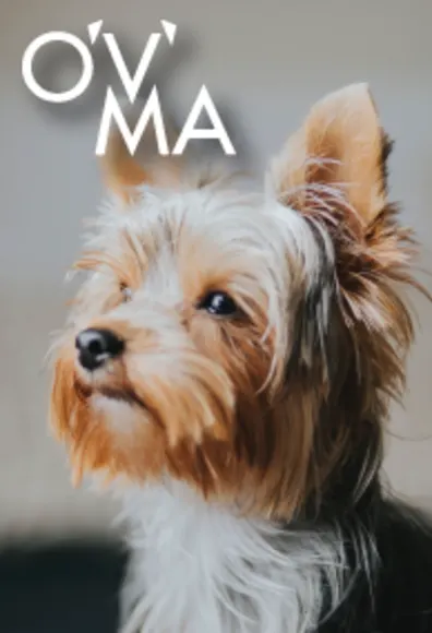 Ontario Veterinary Medical Association (OVMA) Ontario Veterinary Medical Association (OVMA)