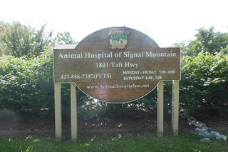 Front wooden Sign at Animal Hospital of Signal Mountain