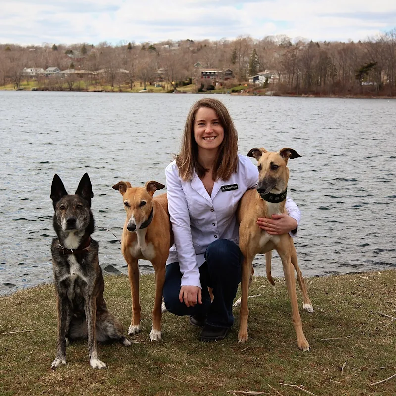 Dr. Susan Taylor Dr. Susan Taylor