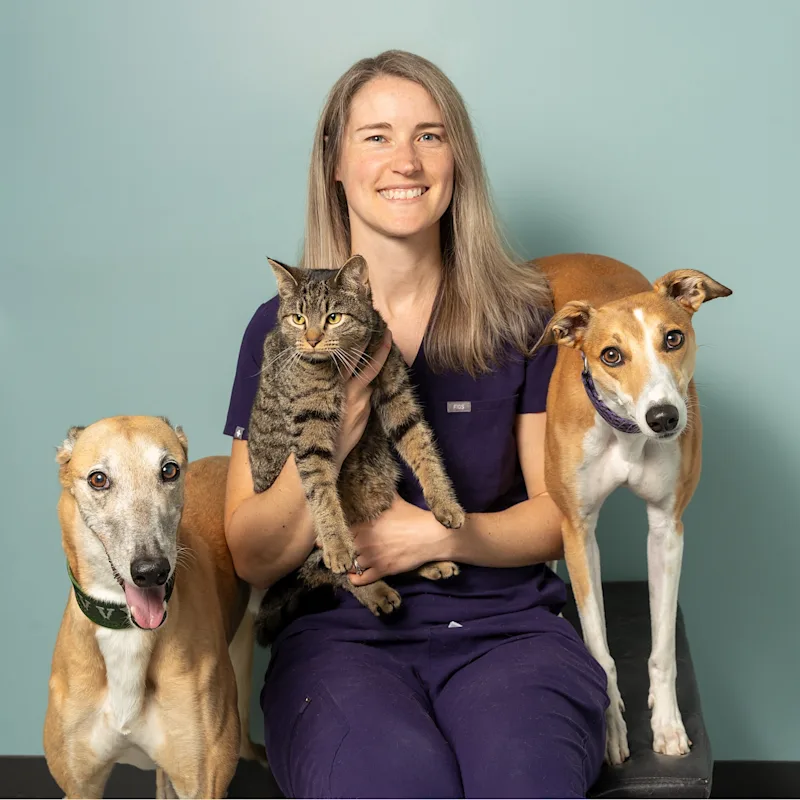 Dr. Susan Taylor Dr. Susan Taylor