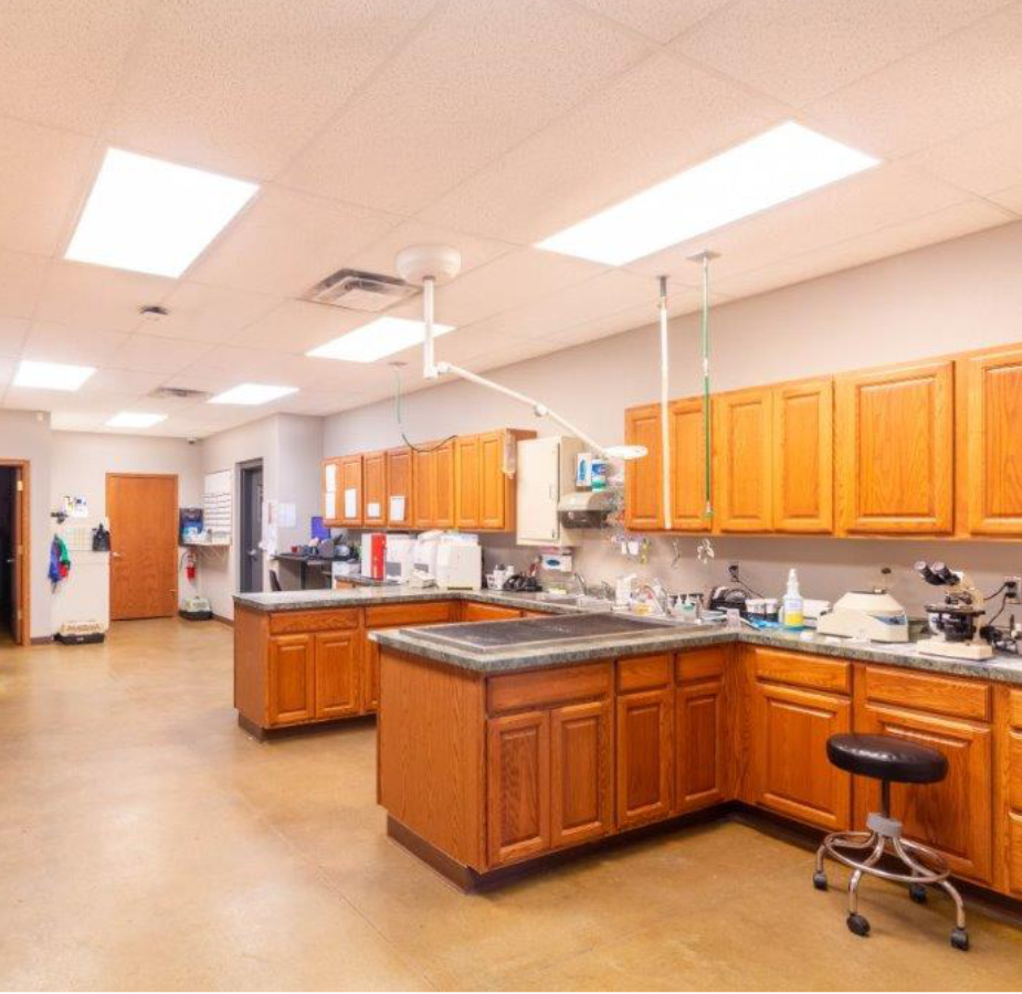 A photo of the treatment room at Dunes Animal Hospital