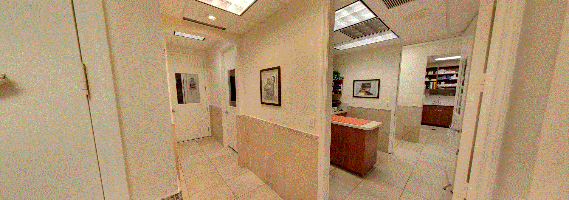 Hometown Animal Hospital - Medical Room 