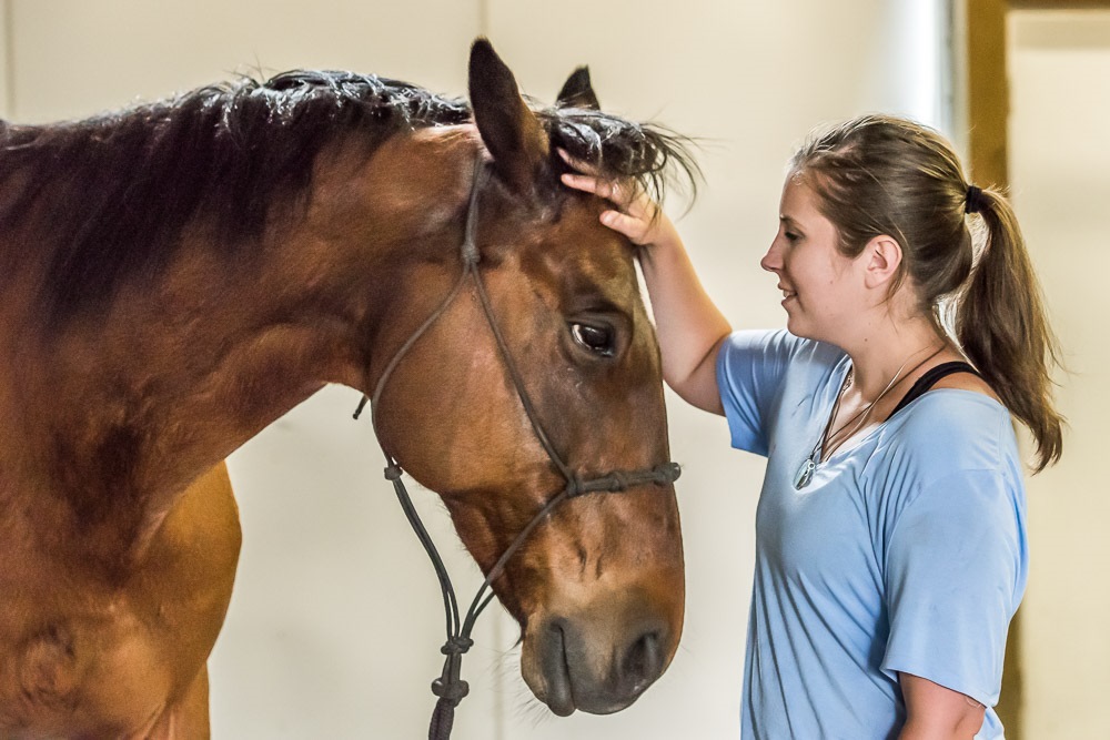  Girl petting horse 