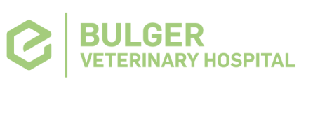 Bulger Veterinary Hospital Logo