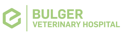 Bulger Veterinary Hospital Logo Bulger Veterinary Hospital Logo