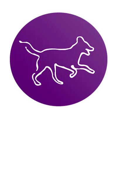 City Bark Daycare icon logo City Bark Daycare icon logo