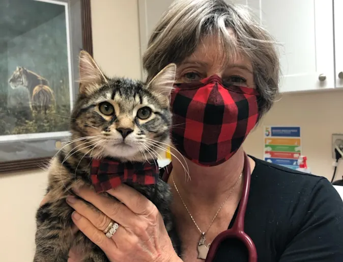 Dr. liz with cat Dr. liz with cat
