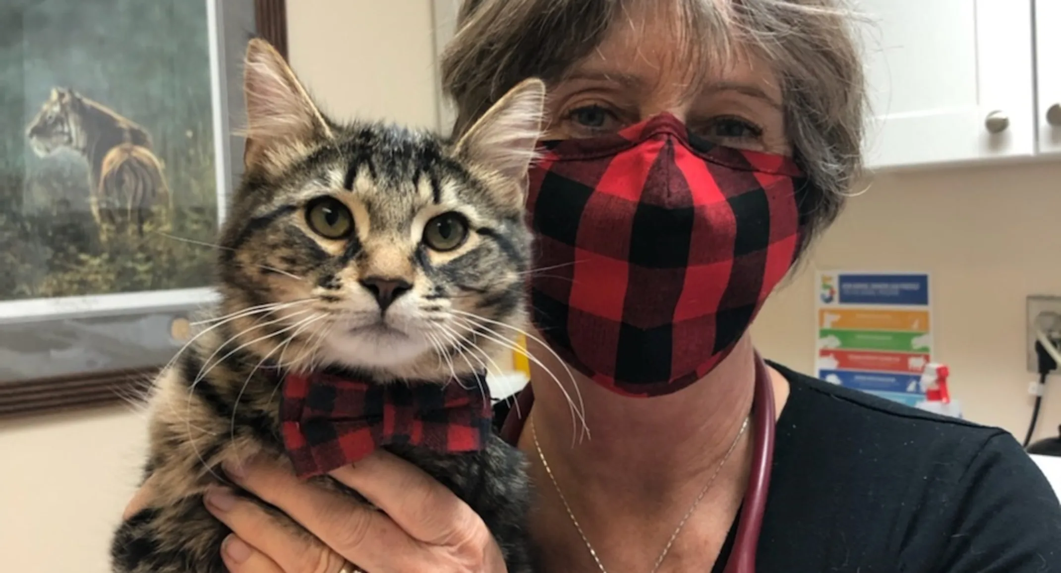 Dr. liz with cat Dr. liz with cat