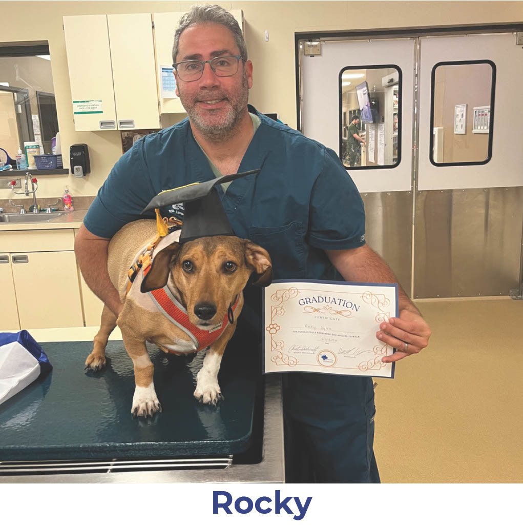 Rocky the dog with Neurology Graduate Hall of Fame certificate