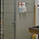 veterinary equipment at Fresno Veterinary Specialty & Emergency Center