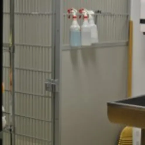 veterinary equipment at Fresno Veterinary Specialty & Emergency Center veterinary equipment at Fresno Veterinary Specialty & Emergency Center