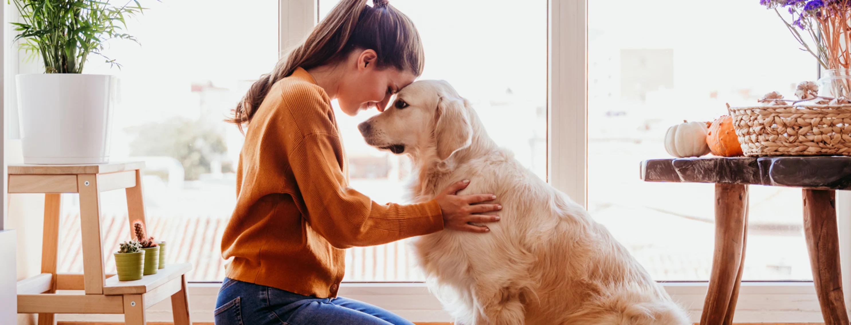 A pet owner kneeling and putting their head together with their dog A pet owner kneeling and putting their head together with their dog