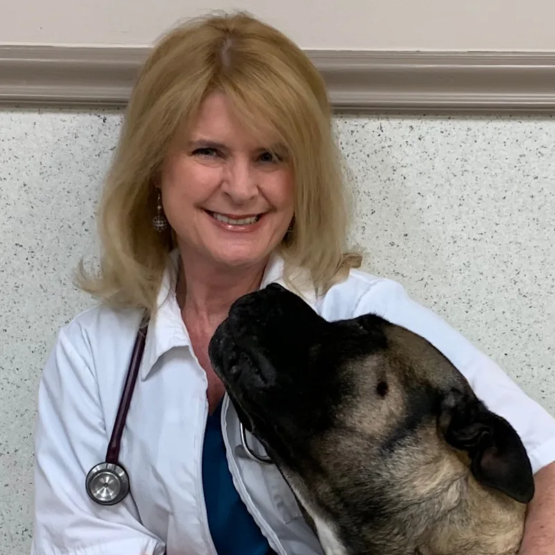 Kimberly Martin Kimberly Martin