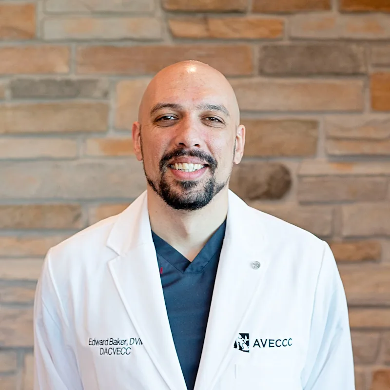 Dr. Edward Skibinski Baker, DVM, DACVECC Dr. Edward Skibinski Baker, DVM, DACVECC
