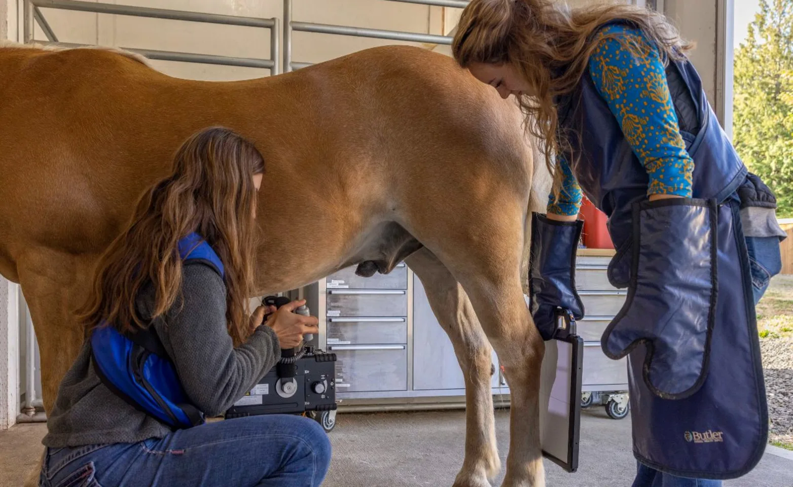 2 women attending to a horse.