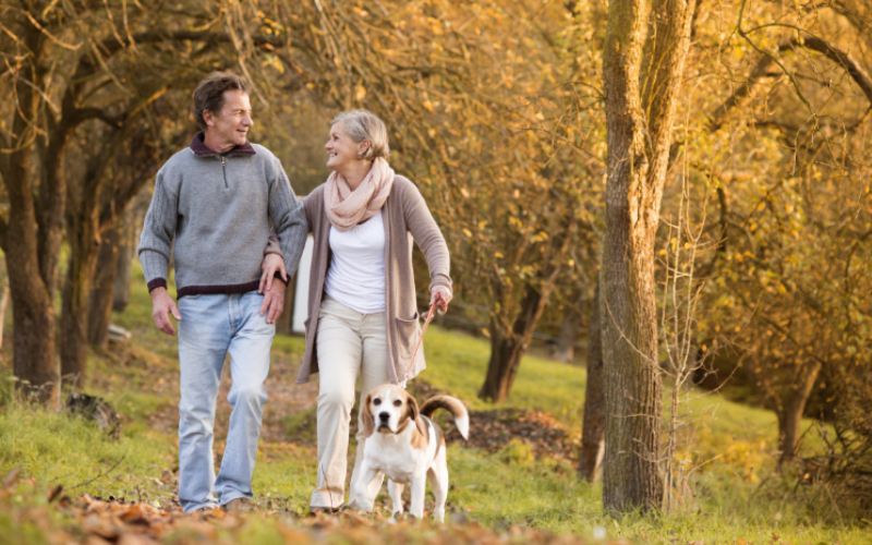 Older Couple Taking Their Dog on a Walk
