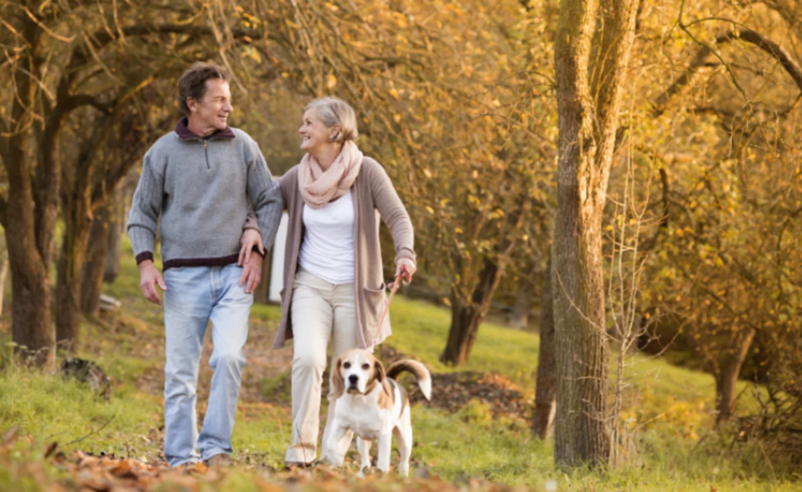 Older Couple Taking Their Dog on a Walk Older Couple Taking Their Dog on a Walk