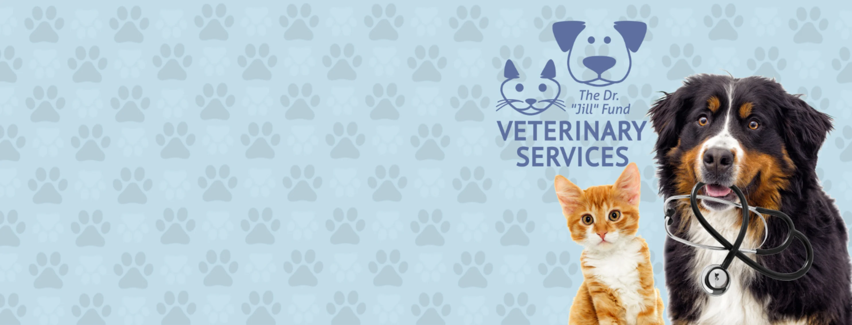 Graphic: A banner with a light blue background, medium and light grey pawprints, and a purple logo featuring a line drawing of a cat, dog, and the text "The Dr. "Jill" Fund Veterinary Services"
