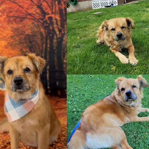 Milo Thornton Milo Thornton